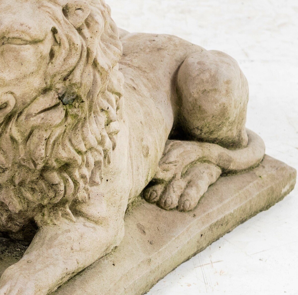 Small Recumbent Lions - Image 5