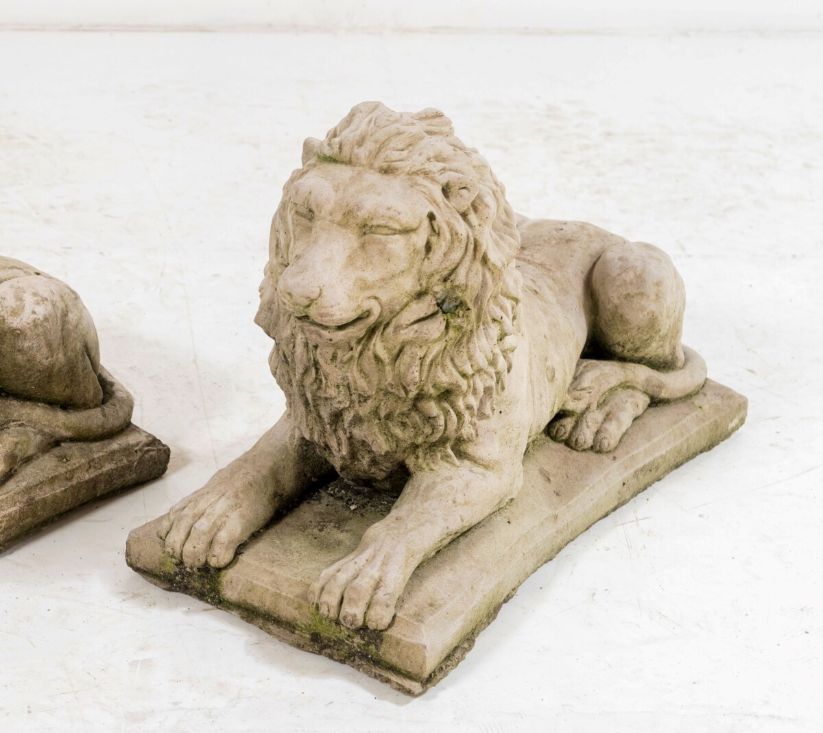 Small Recumbent Lions - Image 6