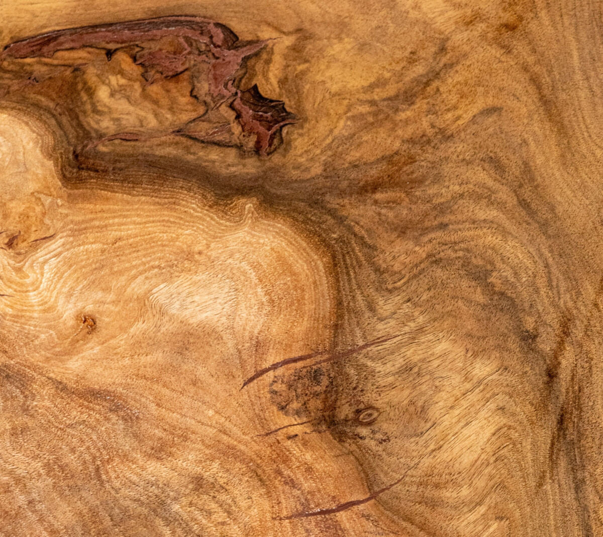 Large Solid Walnut Live Edge Coffee Table with Burr Grain Detail - Image 5