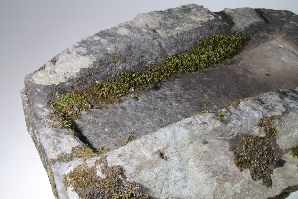 Large 17th Century Stone Trough Garden Feature Weathered Moss Bonsai Carved Stone - Image 18