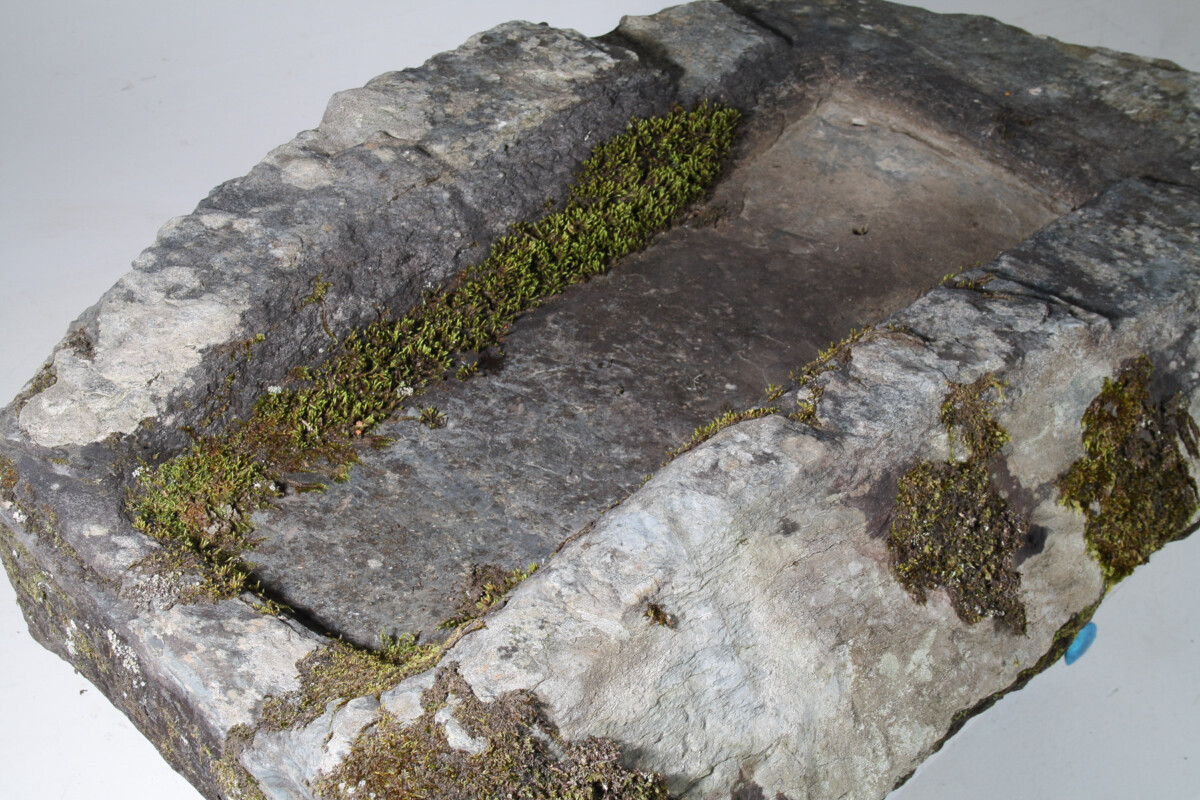 Large 17th Century Stone Trough Garden Feature Weathered Moss Bonsai Carved Stone - Image 17