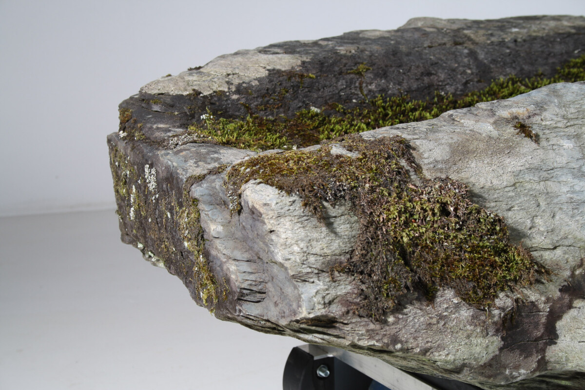 Large 17th Century Stone Trough Garden Feature Weathered Moss Bonsai Carved Stone - Image 16